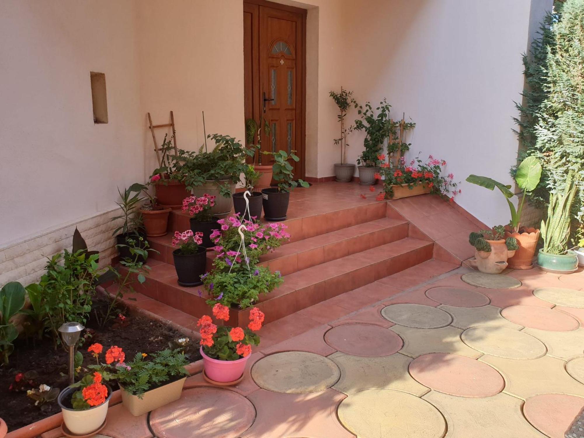 Casa Mary Hotel Костинещи Екстериор снимка
