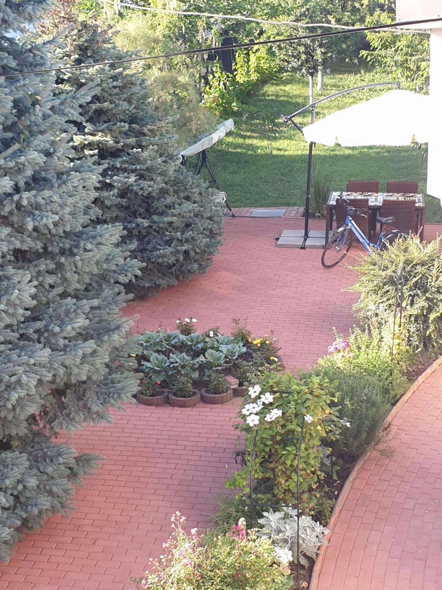 Casa Mary Hotel Костинещи Екстериор снимка