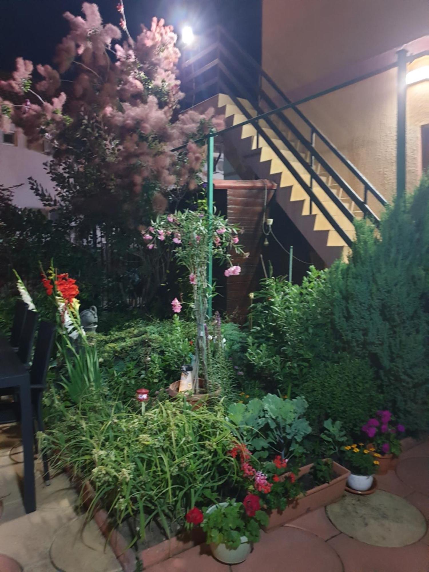 Casa Mary Hotel Костинещи Екстериор снимка