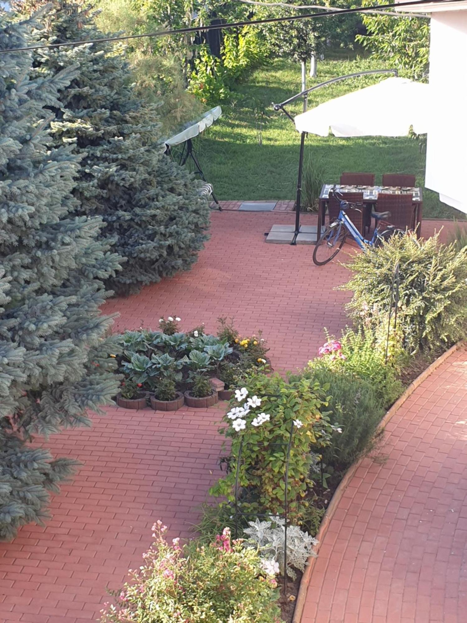 Casa Mary Hotel Костинещи Екстериор снимка